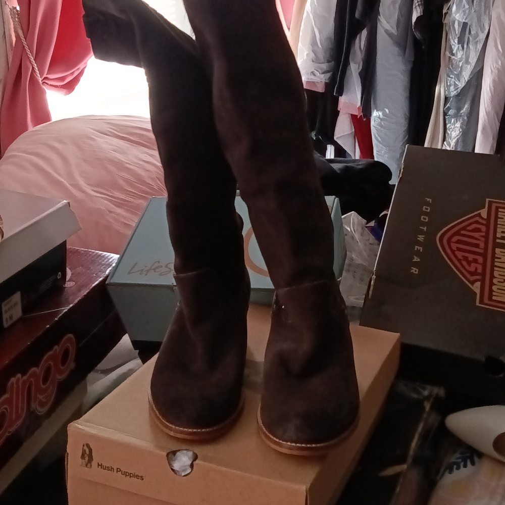Boots